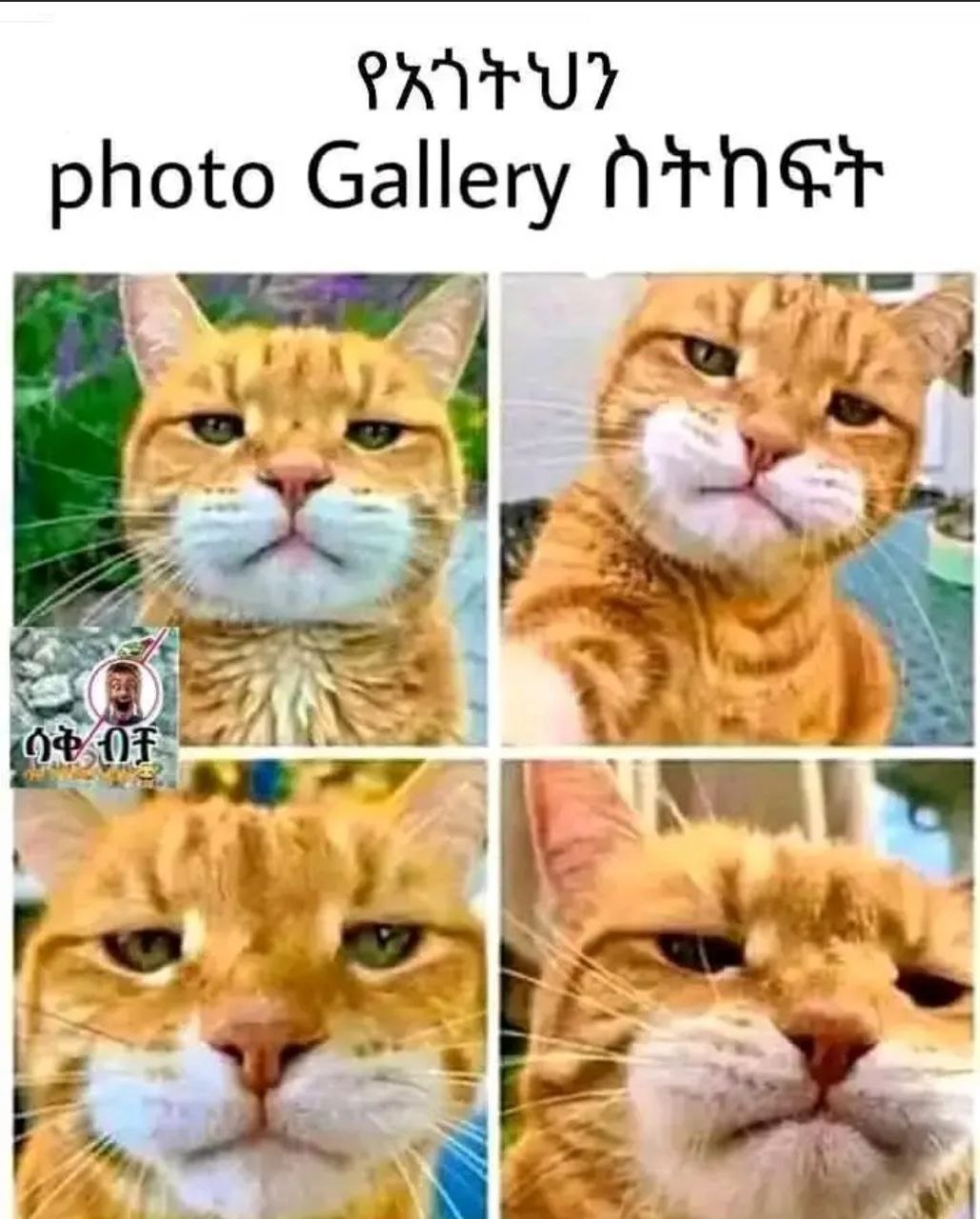 የአጎትህን ሀከዐየዐ ርኃ|ፀሣነ ስትከፍት exrU? photo Gallery NTNet